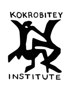 Kokrobitey Institute logo.