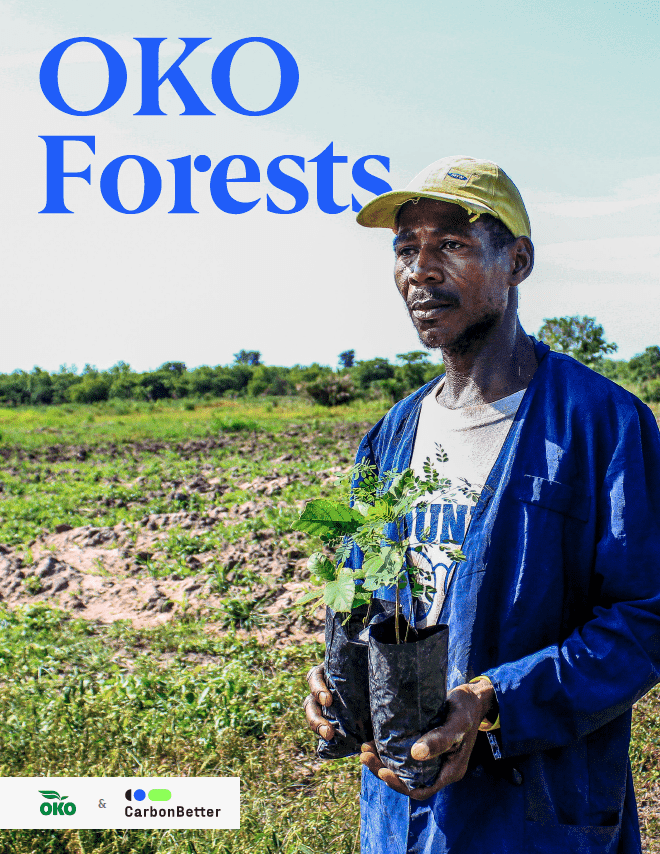 OKO Forest Case Study Cover