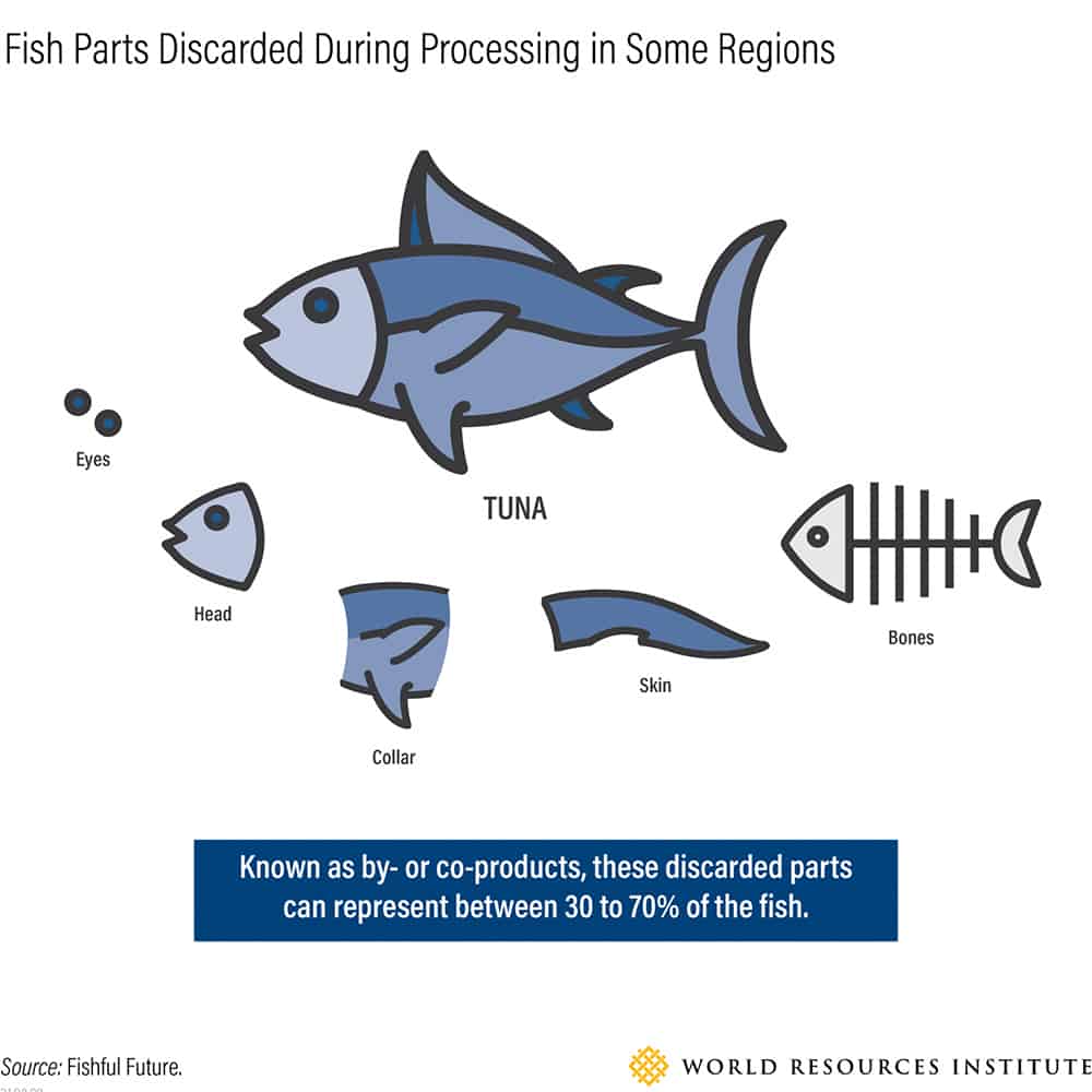 An infographic showing 30-70% of tuna parts go unused.