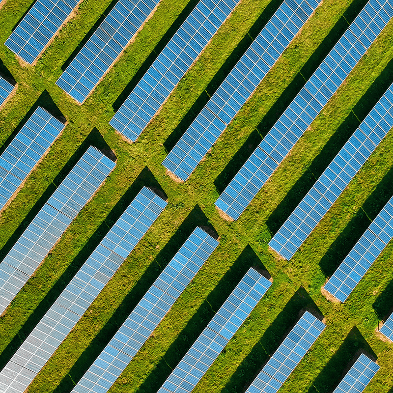 Rows of solar panels from above.
