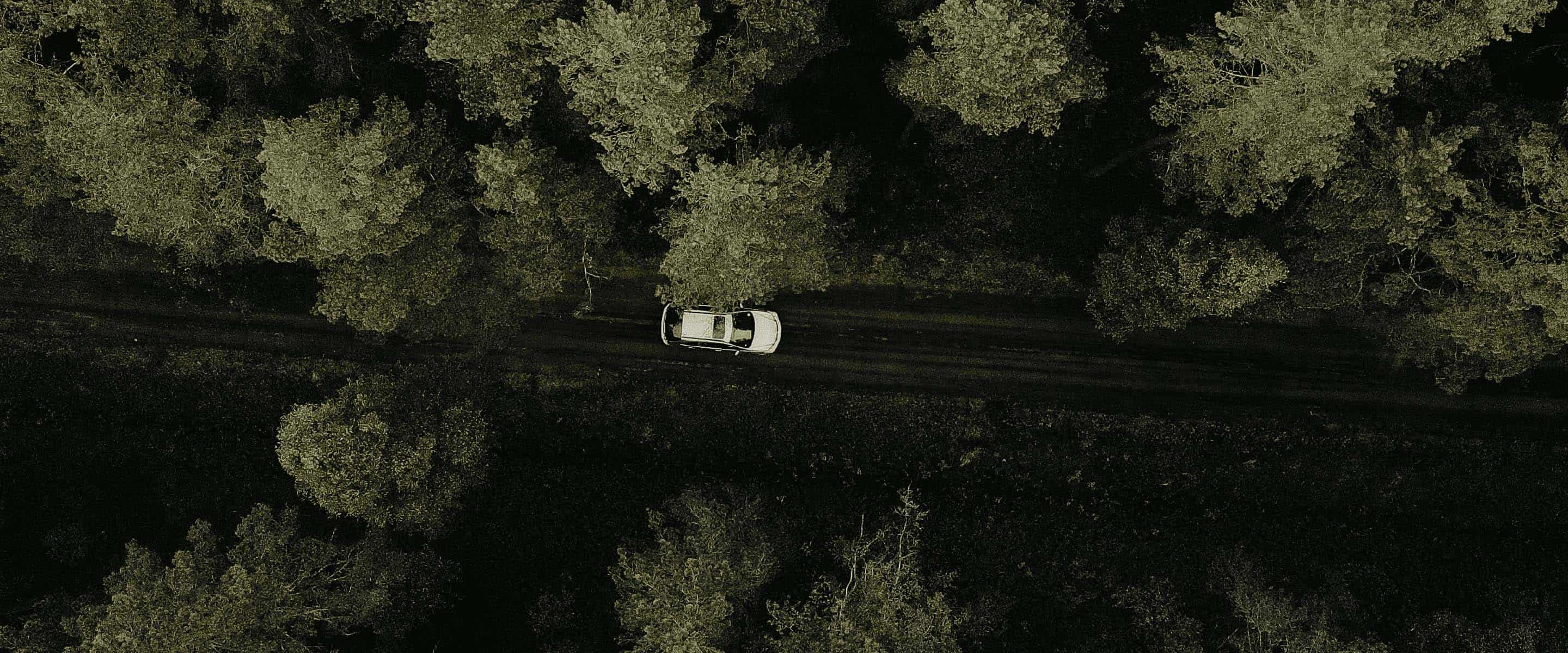An aerial image of a vehicle driving down a forest road.