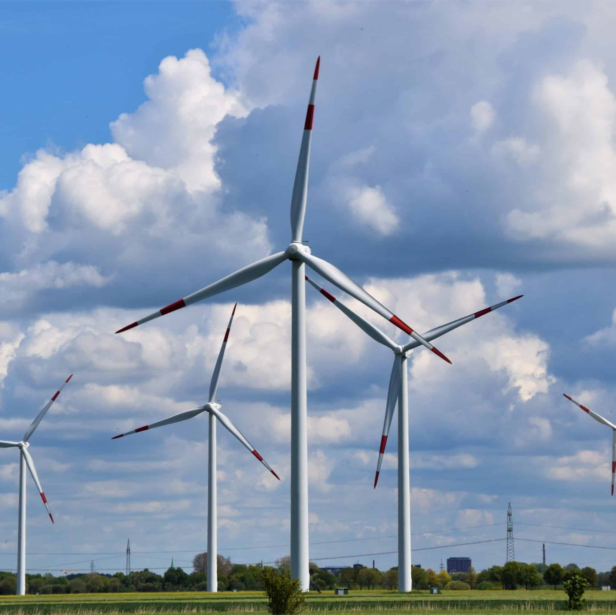 An image of wind turbines.