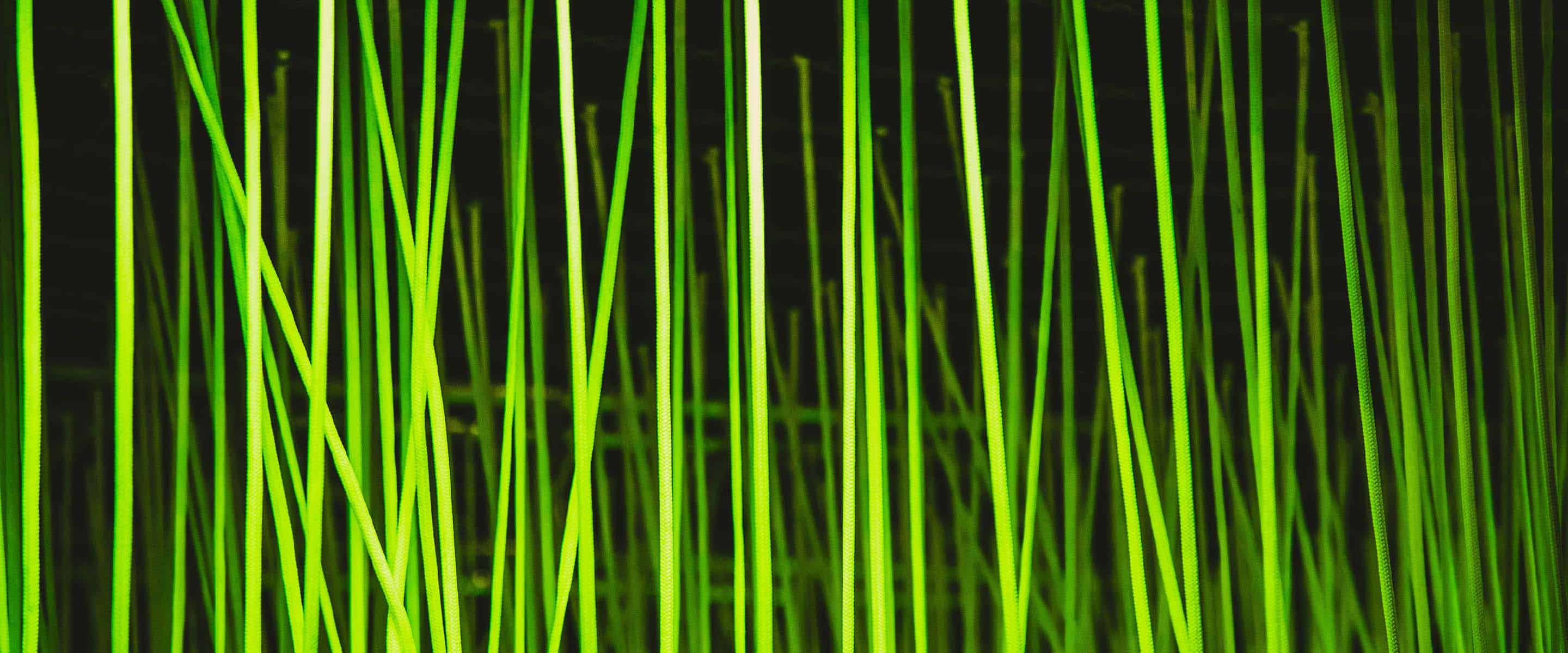 A header image showing strands of glowing rope.