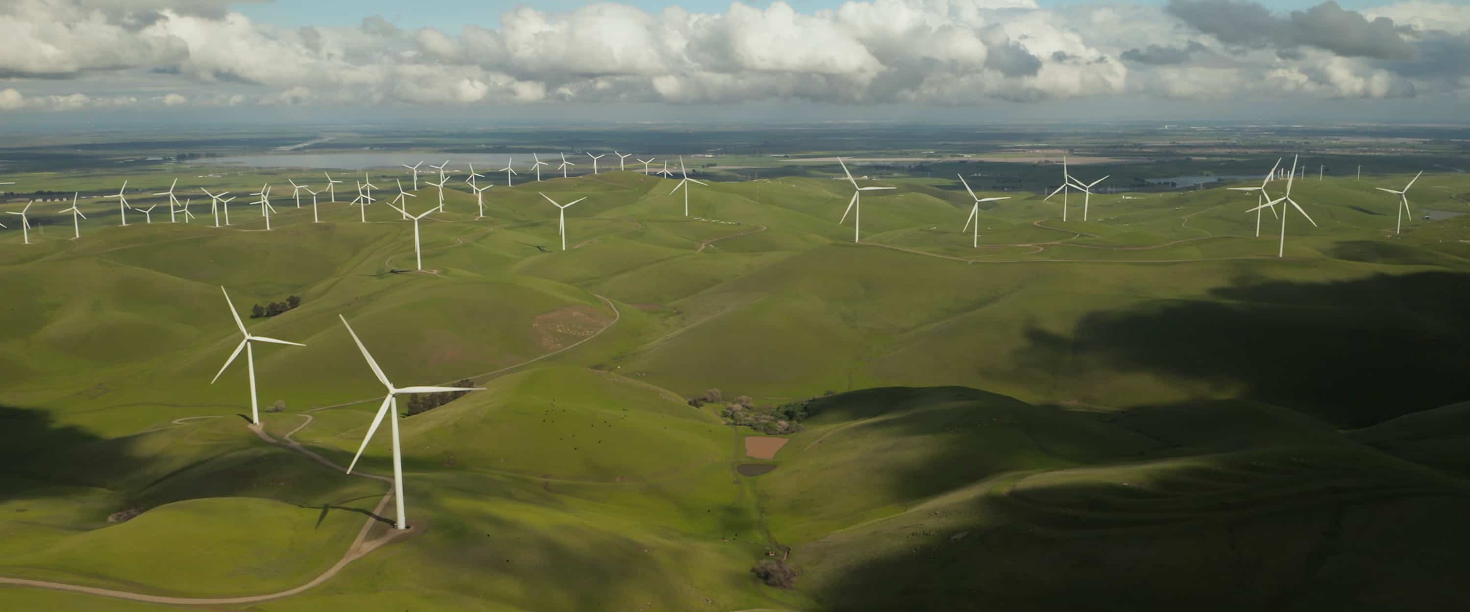 wind farm on a field