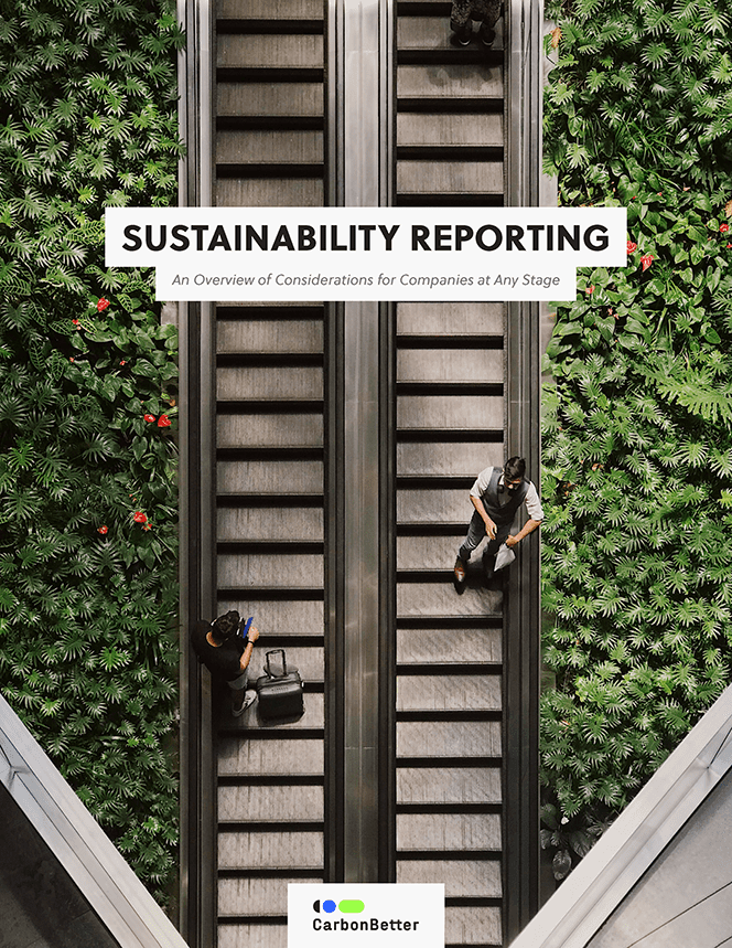 Sustainability assurance under the CSRD: practical implications