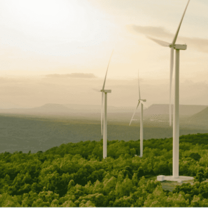  Edition #1 | Weekly Sustainability Briefing