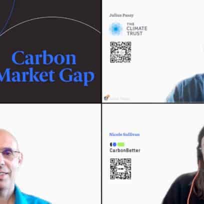 Webinar Recap: Closing the Carbon Market Gap