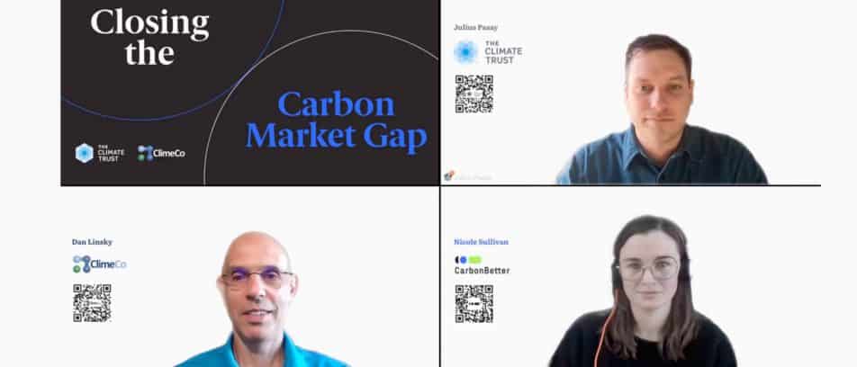 Webinar Recap: Closing the Carbon Market Gap