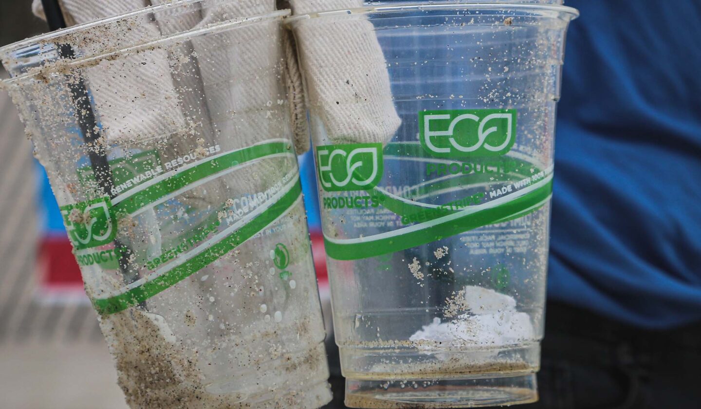 Common Greenwashing Terms & Examples