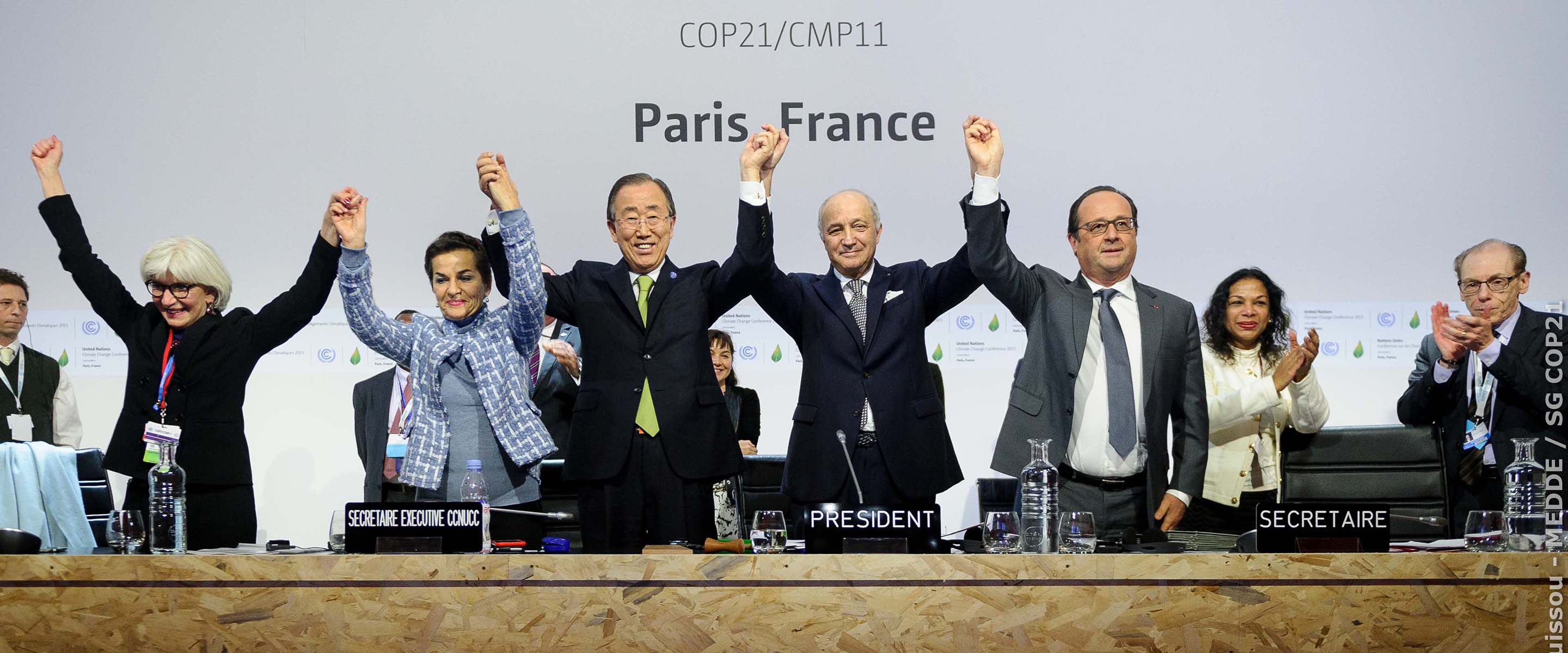 Cop 21 in 2015, Paris Agreement, Carbon Removals