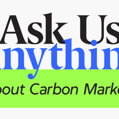 Ask Us Anything: About Carbon Markets Webinar Recap