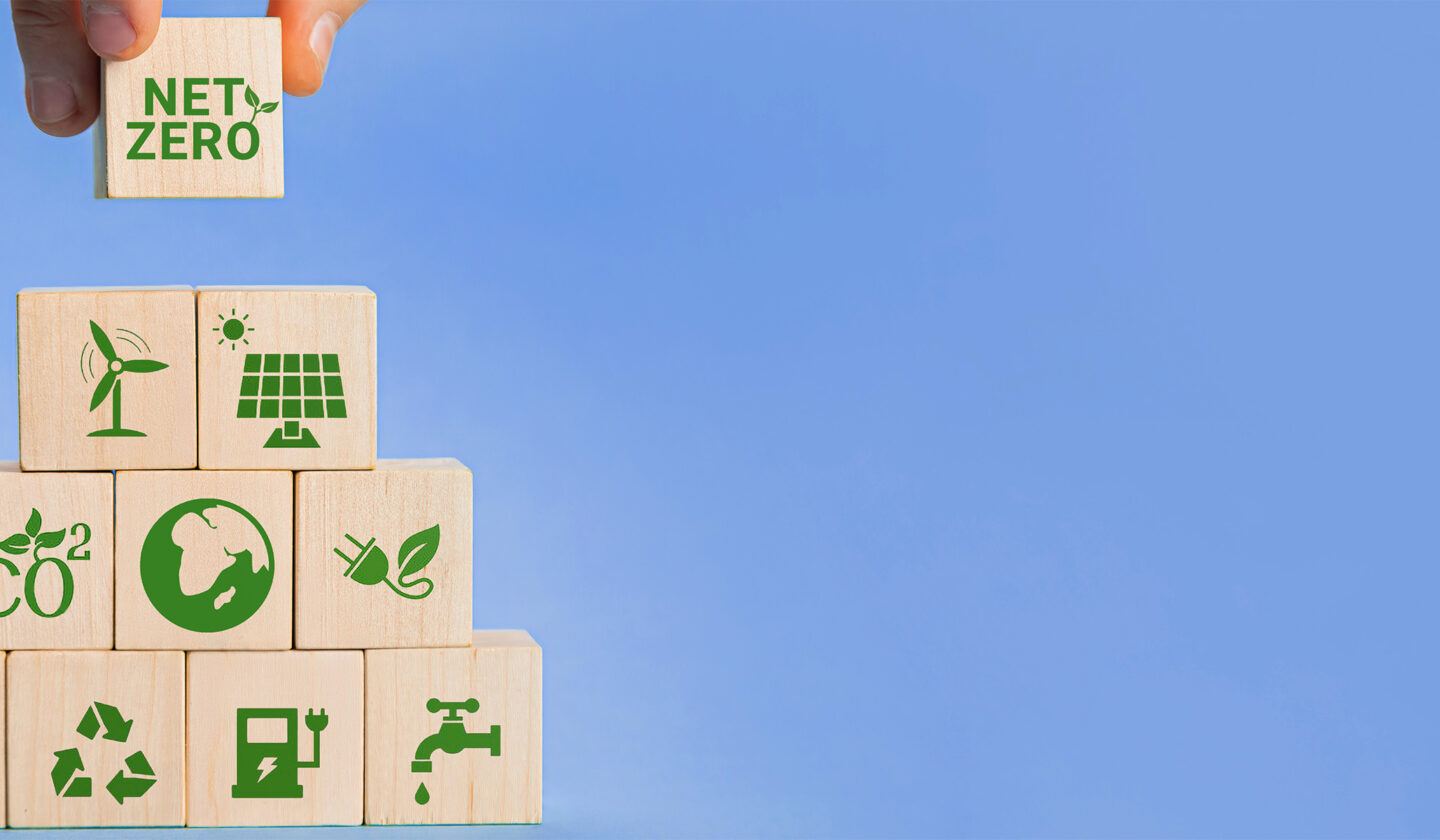 5 Mistakes Companies Make When Setting Net-Zero Goals