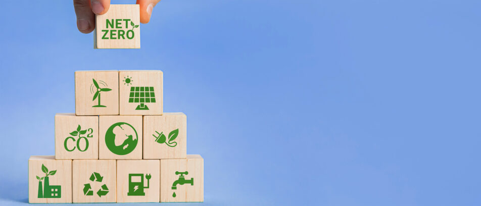 5 Mistakes Companies Make When Setting Net-Zero Goals