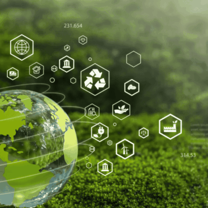 Carbon Credit Lifecycle