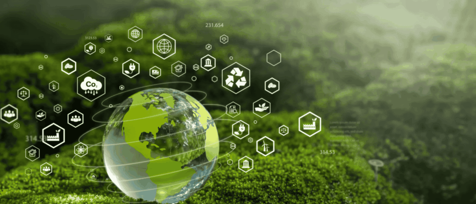 Carbon Credit Lifecycle