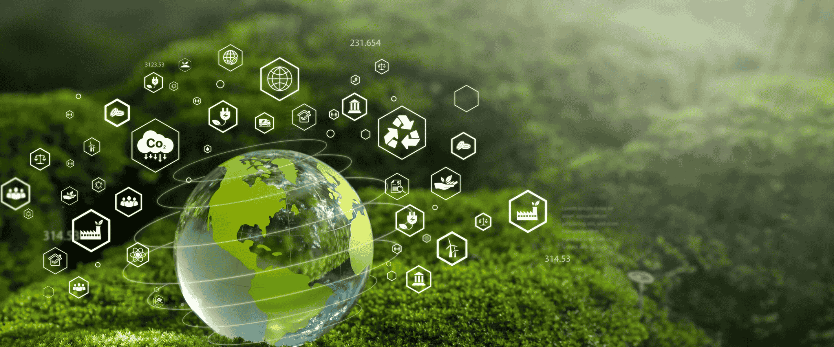 Carbon Credit Lifecycle