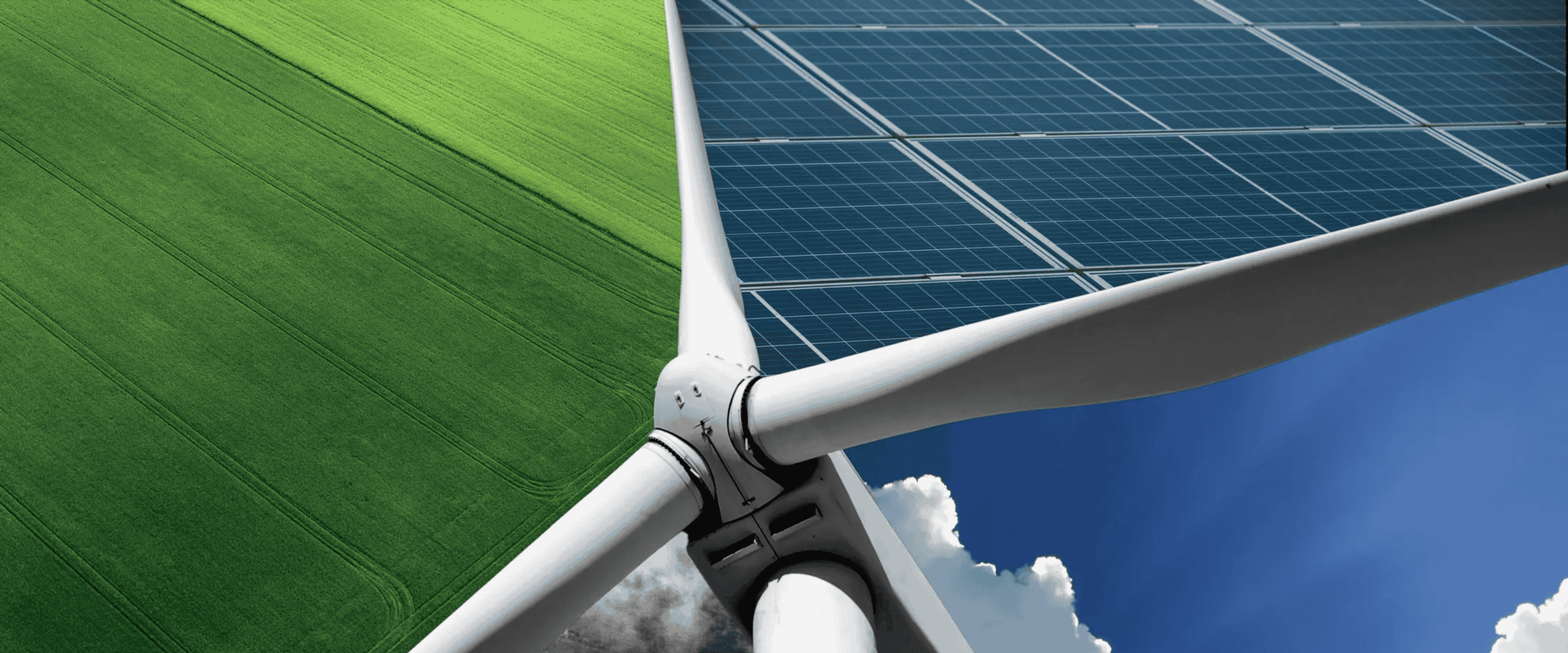 The Cost of Going Green... Politically Speaking