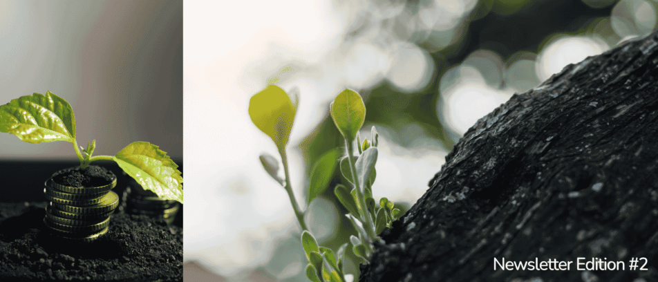  Edition #2 | Your Sustainability Team’s Weekly Briefing