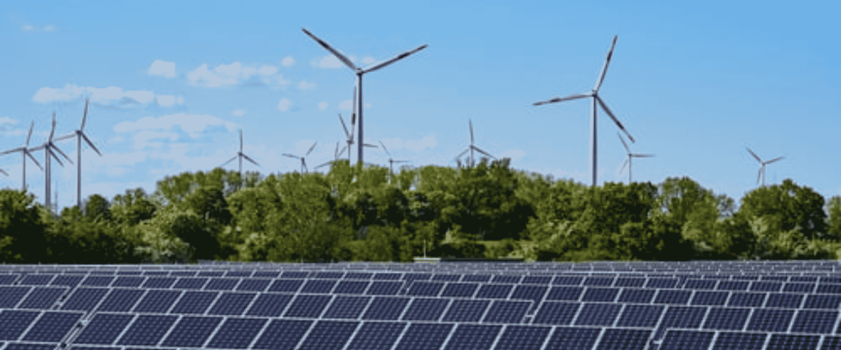 The Voluntary Carbon Market Rules are Getting More Selective