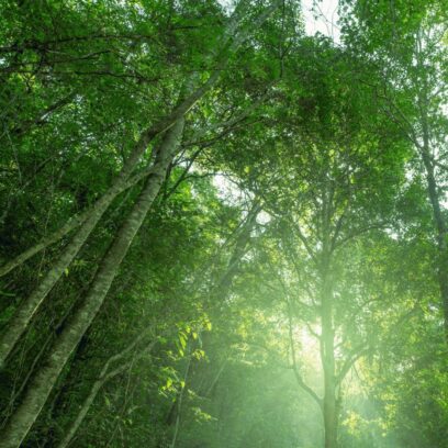  Edition #3 | Your Sustainability Team’s Weekly Briefing