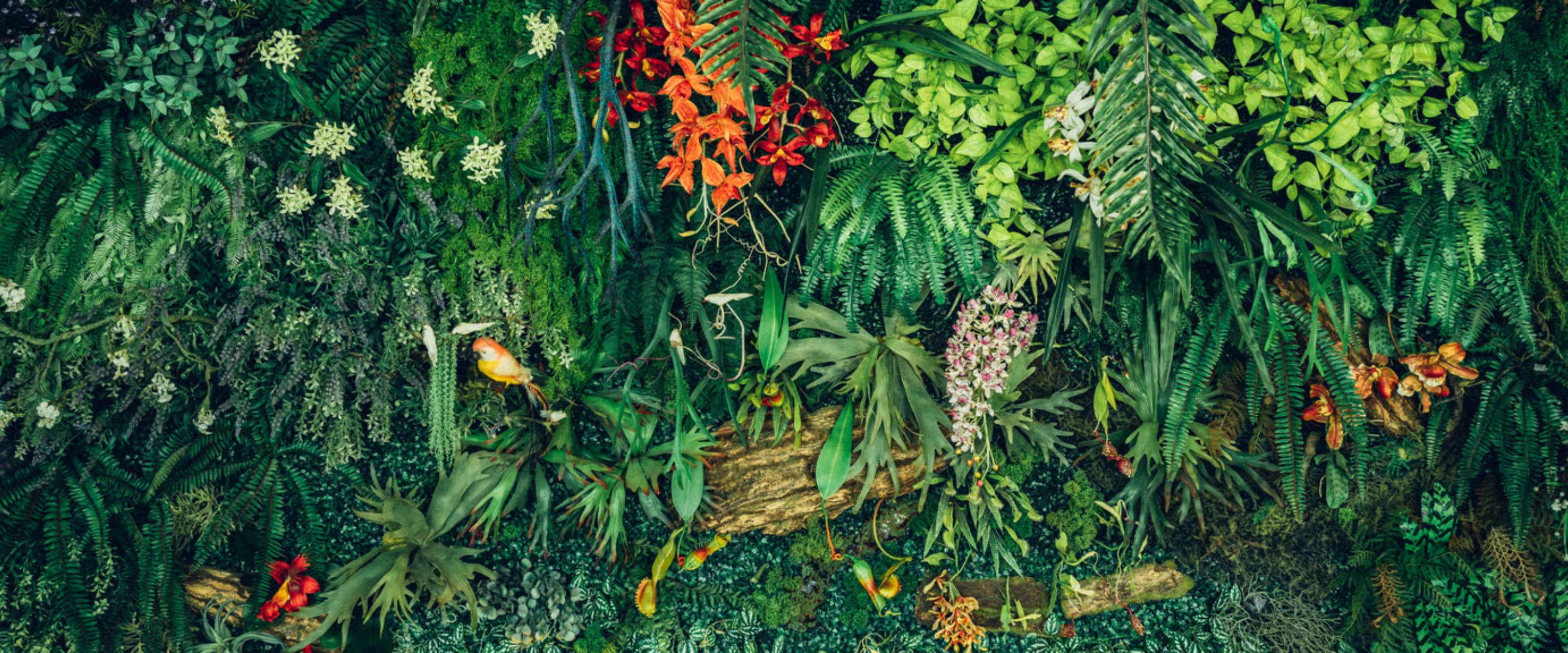 Biodiversity Credits Are Coming. Is Your Team Ready to Engage?