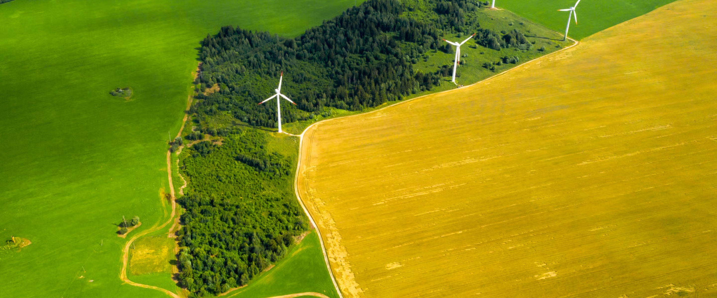 The Carbon Credit Market Is Heading Toward $5 Trillion