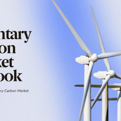 Voluntary Carbon Market Outlook