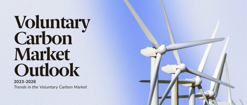 Voluntary Carbon Market Outlook