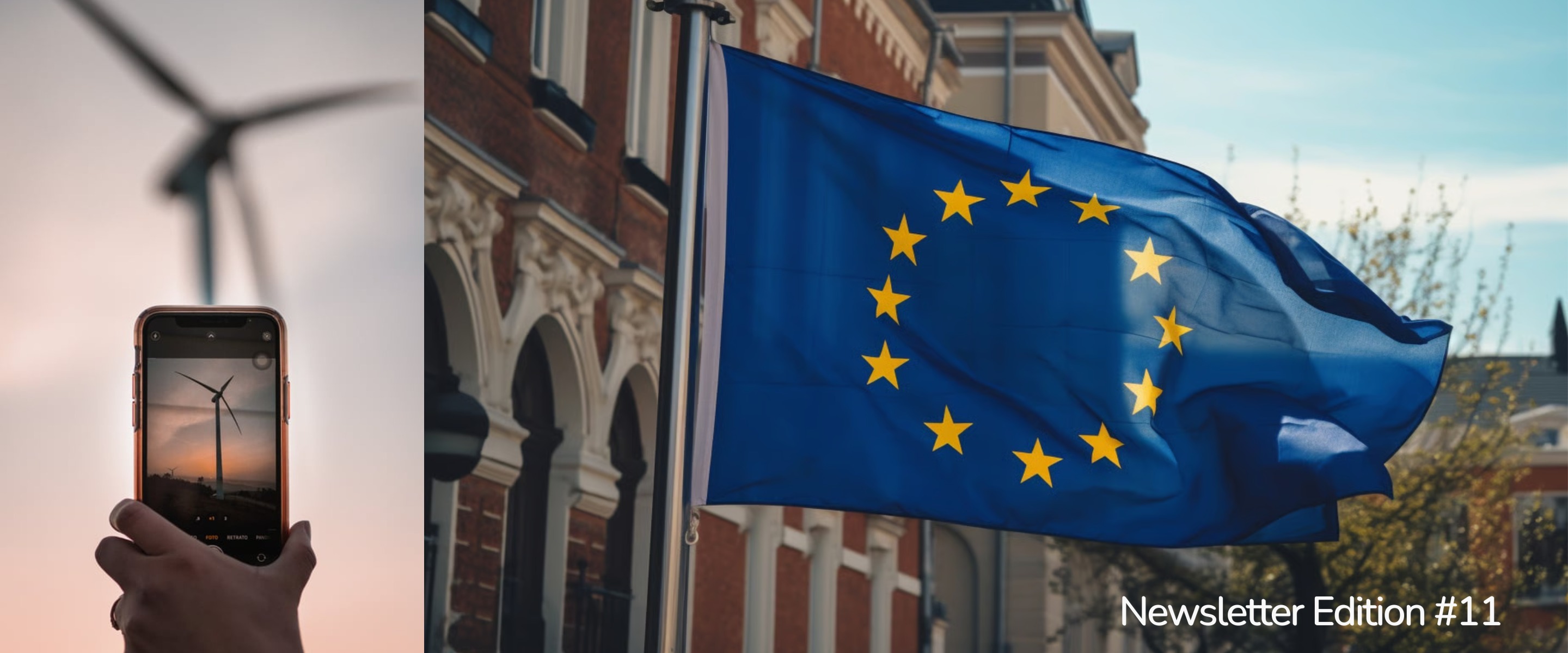 EU's Carbon Removal Bet · A Greenwashing Test in Court · Registries Get a Closer Look