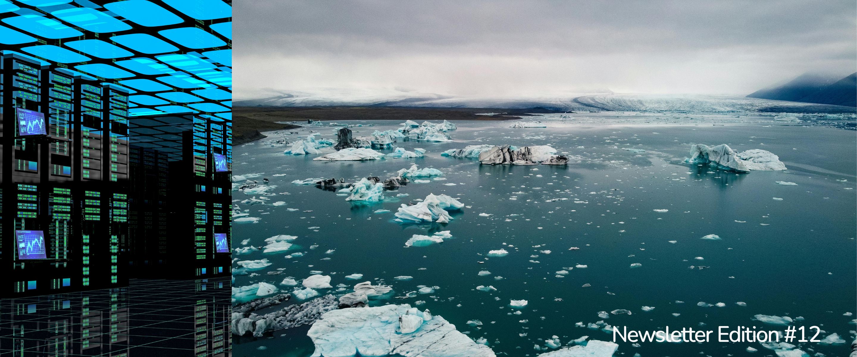  Edition #12 | Your Sustainability Team's Weekly Briefing