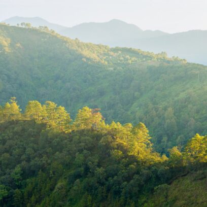  Edition #10 | Your Sustainability Team’s Weekly Briefing