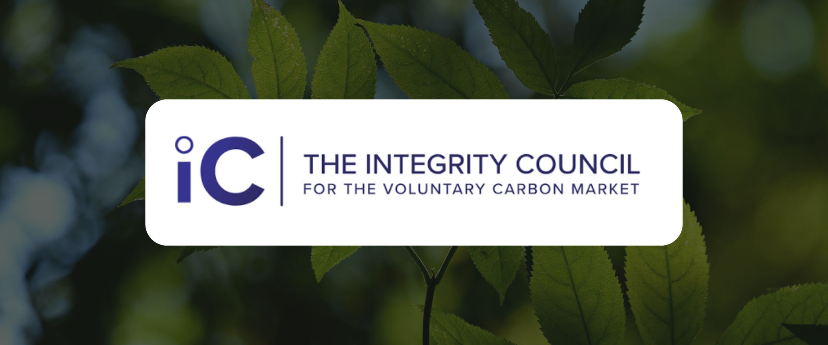 ICVCM