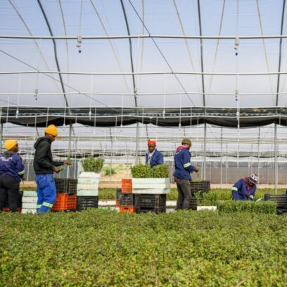  Edition #9 | Your Sustainability Team’s Weekly Briefing