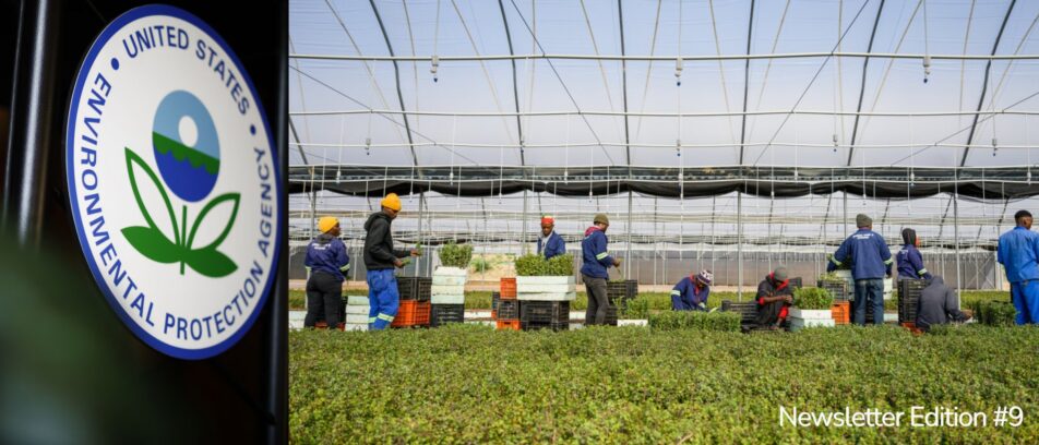  Edition #9 | Your Sustainability Team’s Weekly Briefing