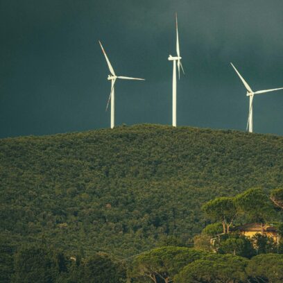  Edition #14 | Your Sustainability Team’s Weekly Briefing