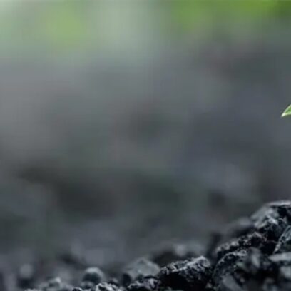  Edition #13 | Your Sustainability Team’s Weekly Briefing